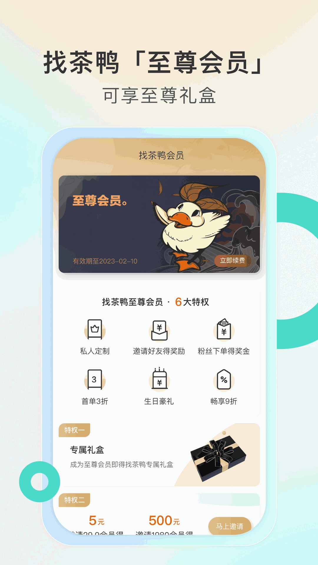 找茶鸭