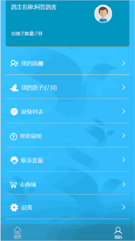 中国信鸽比赛