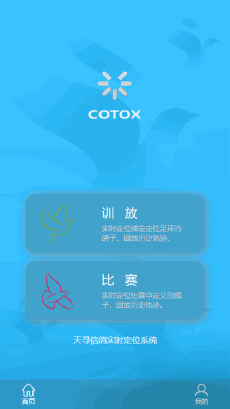 中国信鸽比赛