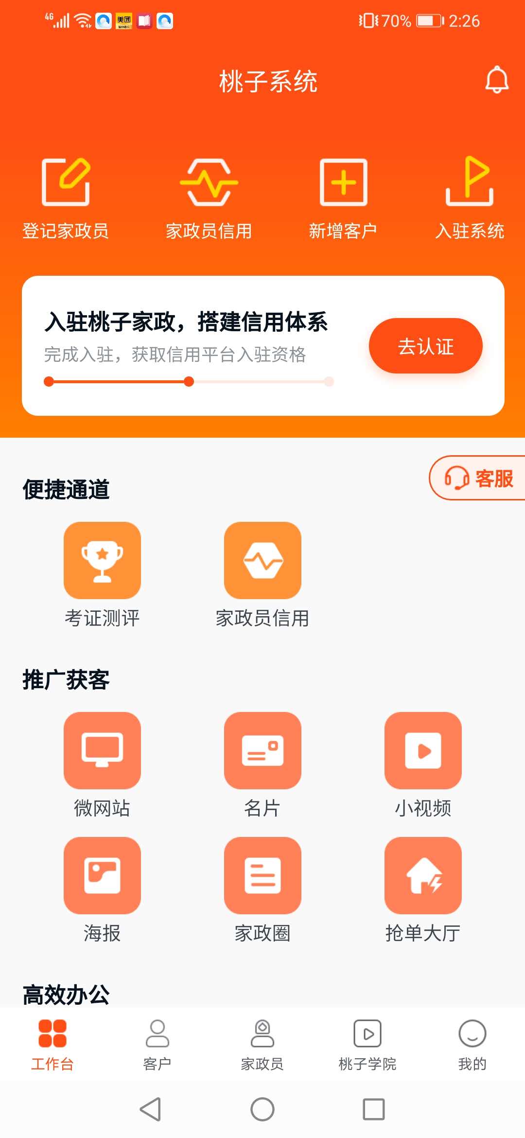桃子系统
