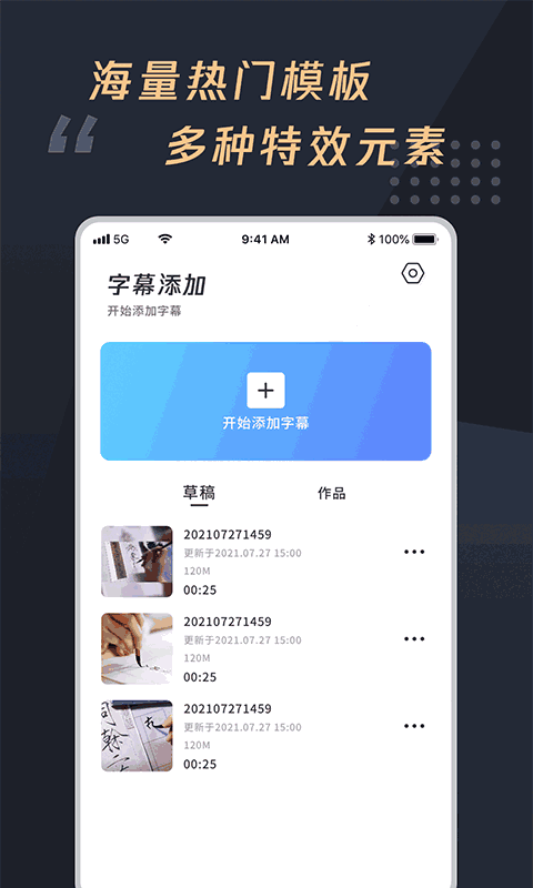 视频加字幕大师