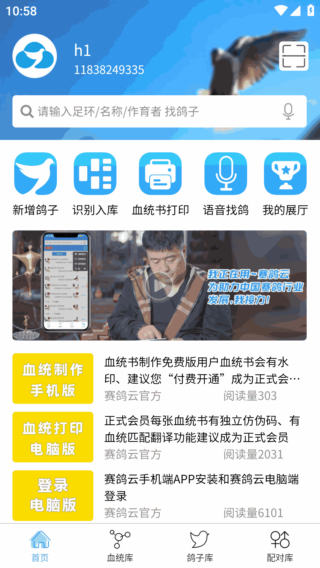 赛鸽云