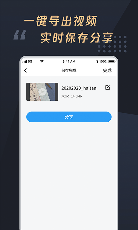 视频加字幕大师