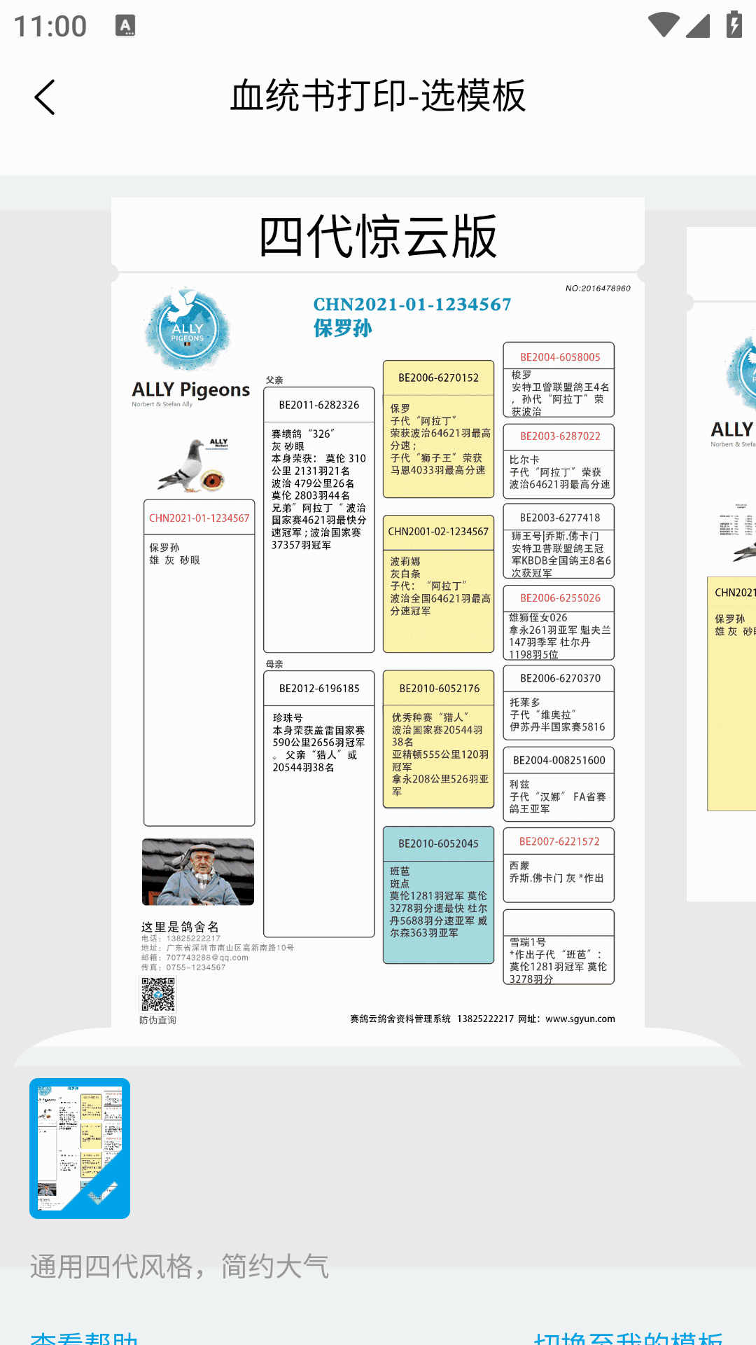 赛鸽云